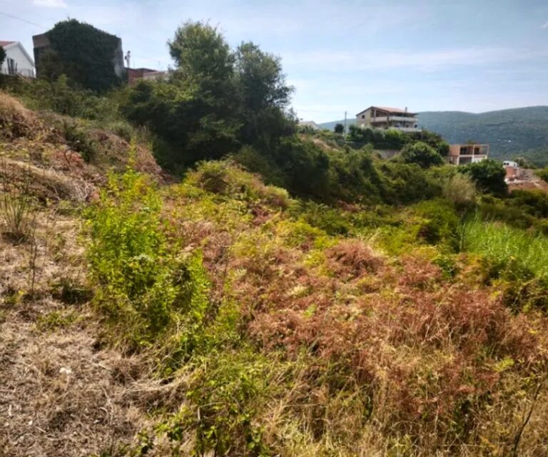 Urbanized plot with a view in Radanovići